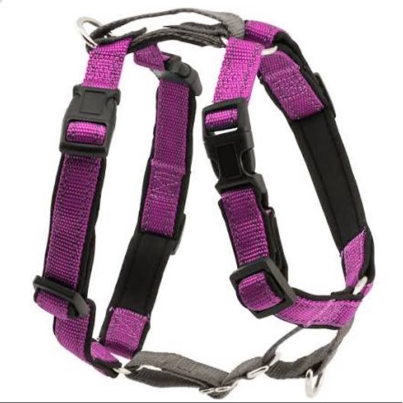 New Large 3 in 1 Purple Harness! - Picture 5 of 5